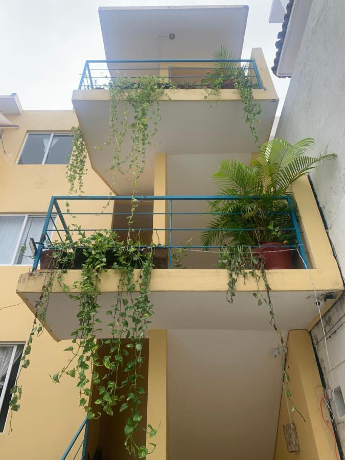 Brisamar Guesthouse بويرتو إسكونديدو المظهر الخارجي الصورة