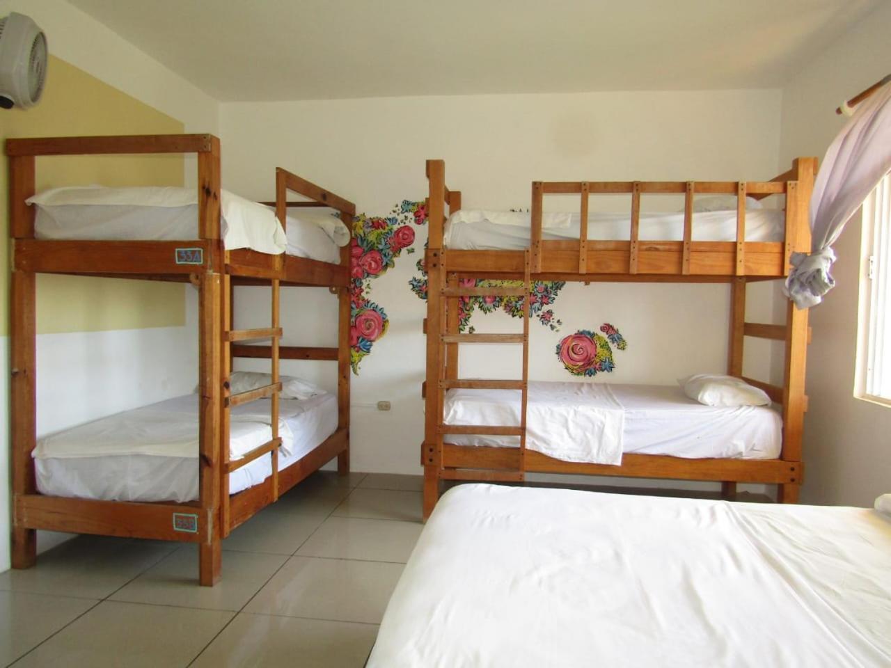 Brisamar Guesthouse بويرتو إسكونديدو المظهر الخارجي الصورة